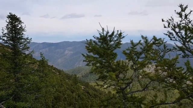 441b1bab4305661cc1c266ec1078ac8f