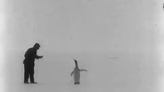 Roald Amundsen's South Pole Expedition (1910-1912)