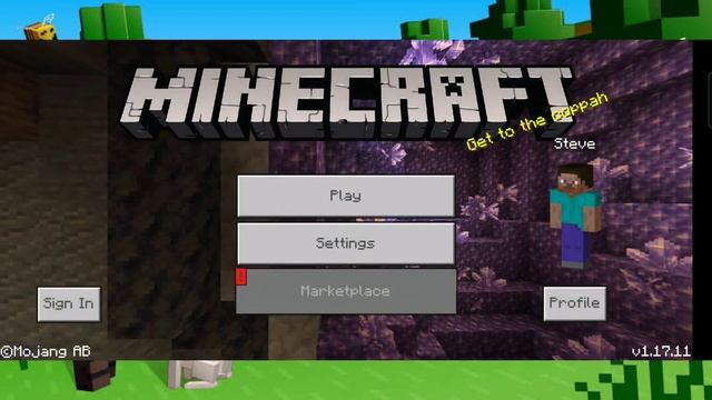 How To Download Minecraft | Latest Version | V1.17.11.01 | For Free