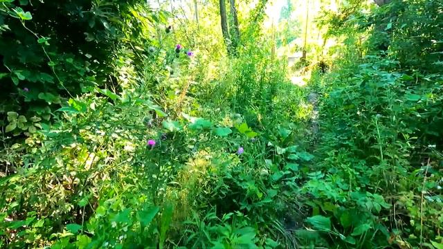 D0adc74afcb59d2d9b364afa787c9b30