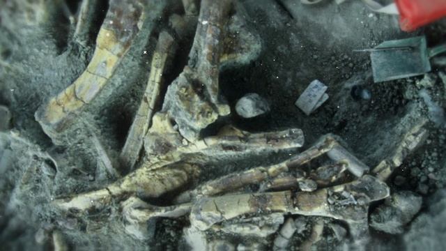 85 регионов России