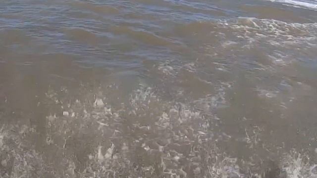 Jetski Freeride Back 2020