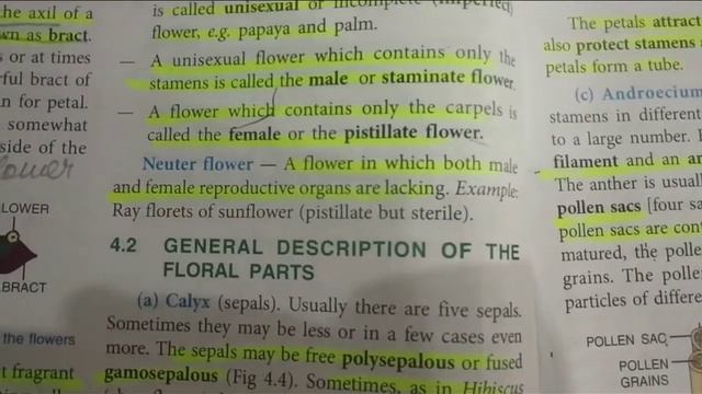 1b422d3c84609ebb4bb80232971d9a22