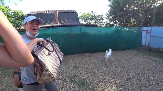 ПОЧТИ ПОТЕРЯЛИ КОТА. ЧТО СЛУЧИЛОСЬ СО ШКЕТОМ? СРОЧНО В КЛИНИКУ!