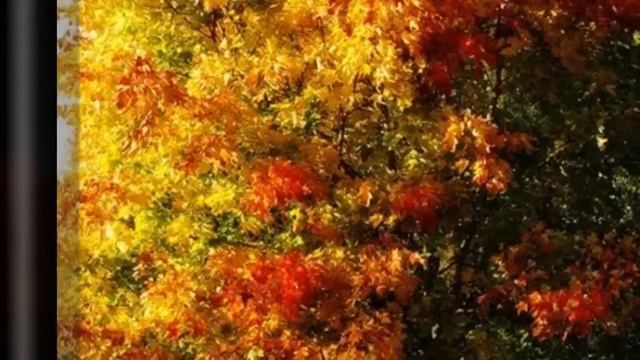 ЛЕНА ВАСИЛЕК   ОСЕНЬ