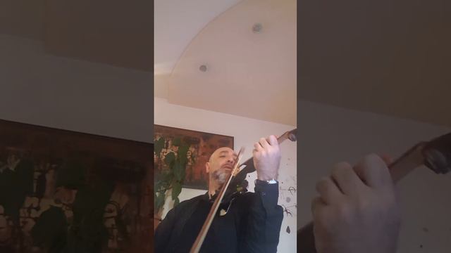 Arsen Andriasyan - She (Cover By Violin) +37491202861