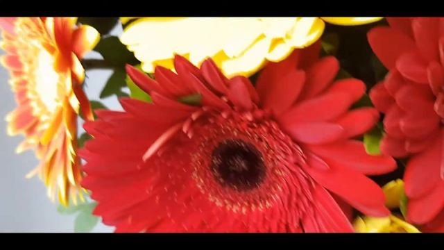 Яркий букет гербер ''Радуга''