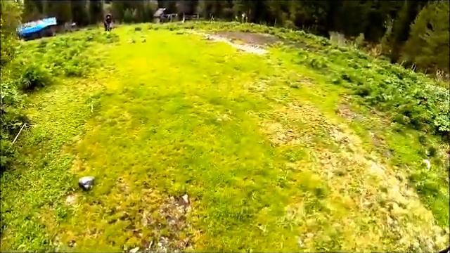 Чойган (Жойган). Четыре туриста и собака