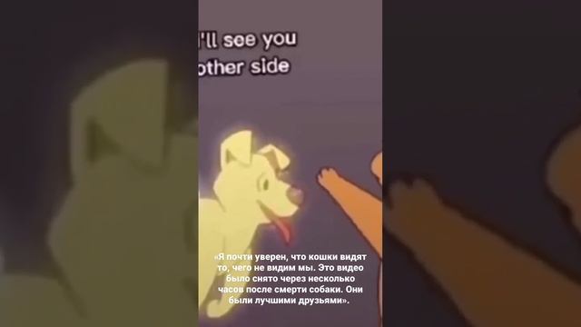 7196f398b495fb9e4251d9e0f4ab8885