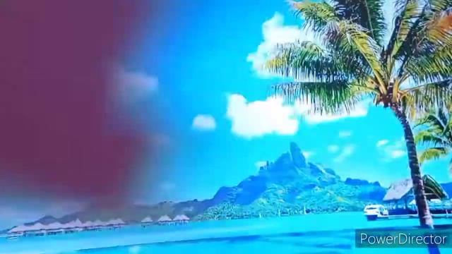 АСМР Длинные ногти |Тэппинг  по камере | ASMR Camera Tapping & Scratching| No Talking ?