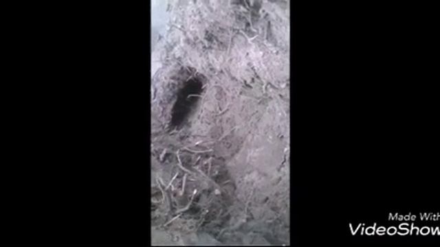 Канализация своими руками