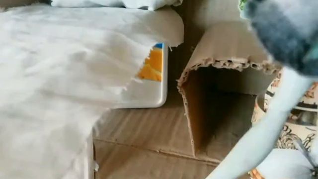 C6d49b0e24be2de789724663571bf0c9