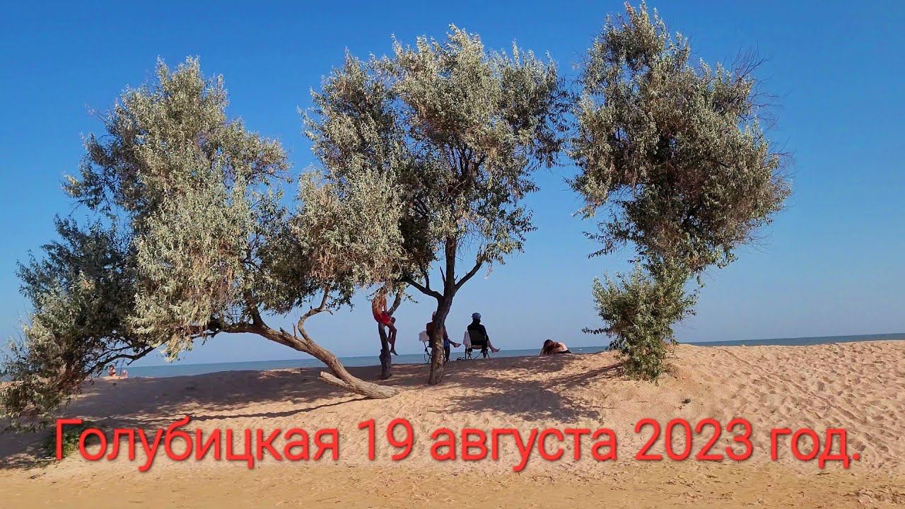 Утро в Голубицкой 19.08.2023 г. Шторм на Азовском море стихает! Погода столовые обстановка.