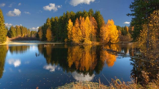 ЖЕНА ВЕРНУЛАСЬ ДОМОЙ НЕ ВОВРЕМЯ. Истории из жизни.