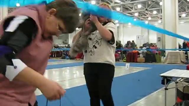 Евразия 2014, наши первые неудачные попытки)