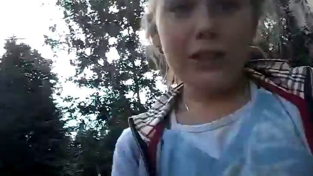 Гуляем с собаками