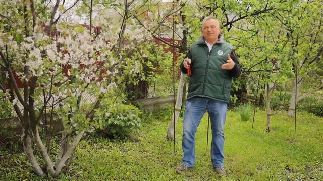 Магическая партия тайного знания прошлого