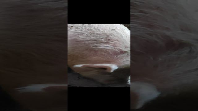 1ab03199fb3e72cc9726198cf82005ff