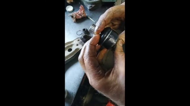 Ресничная грация