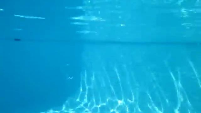 Dive In Bonnie Ridge Pool, By Canon D10