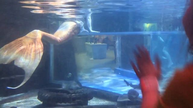 Mermaids And Madness!