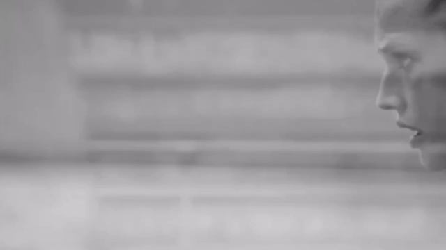 Наталья Вишнякова (SNU)