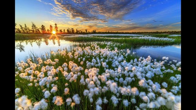 8ad3e217631e6925411cc671e2e73f3c