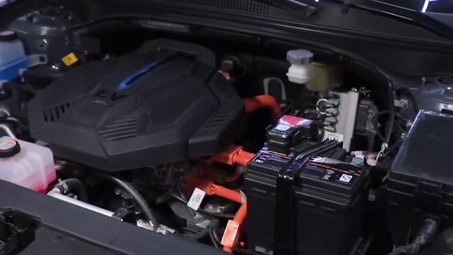 Beautiful Korean Hyundai La Festa EV  아름다운 한국