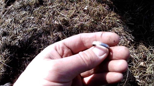 Ну... хоть прогулялись)))