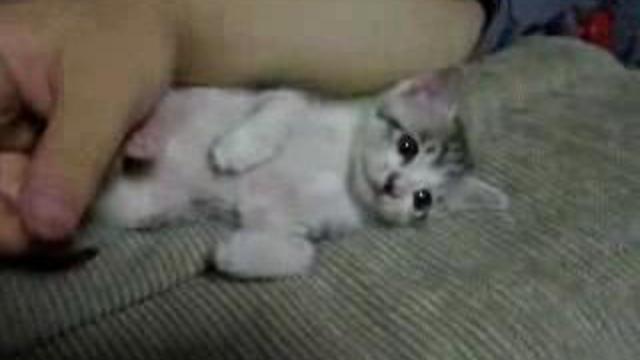 МАЛЫШ ЗАСНУЛ