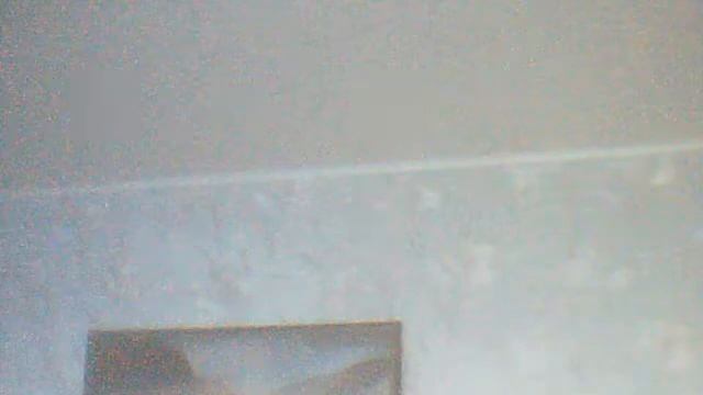 Видео с веб-камеры. Дата: 6 ноября 2013 г., 13:38.