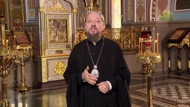 Воскресные беседы. Вербное воскресенье