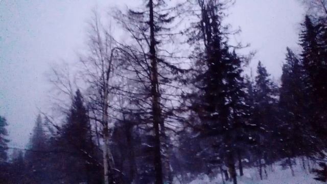 8632e9e9996b81e321a0dd229d18dc26