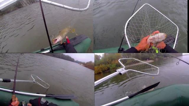 Два лучших цвета силикона на щуку и судака