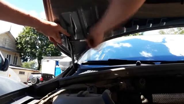 Моторные эмоции