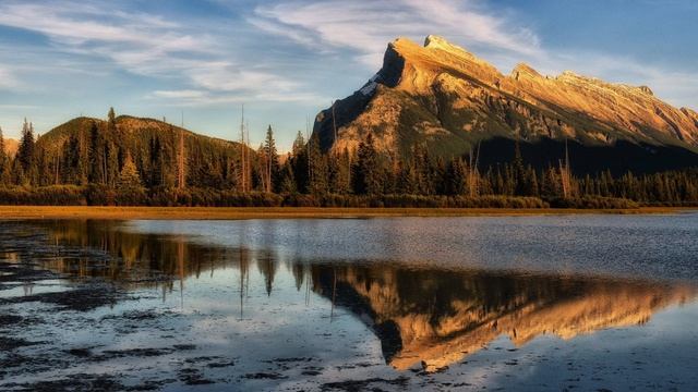 Back To Earth. Equilibrium (Extended Version)