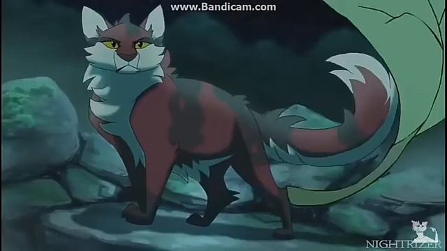 Клип Коты-Воители Кленовница 