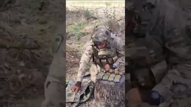 Что в сумочке у мейби бейби