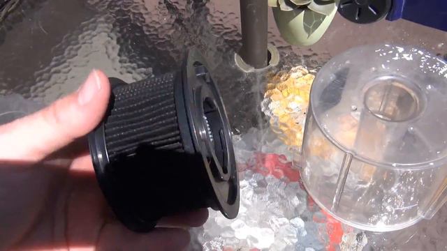 The Vacuum Smells Like Cat Pee