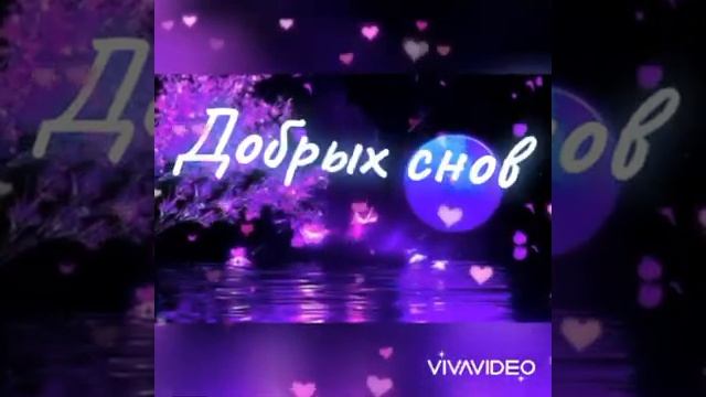 Спокойной ночи!/?Сладких снов! /?Доброй ночи! /