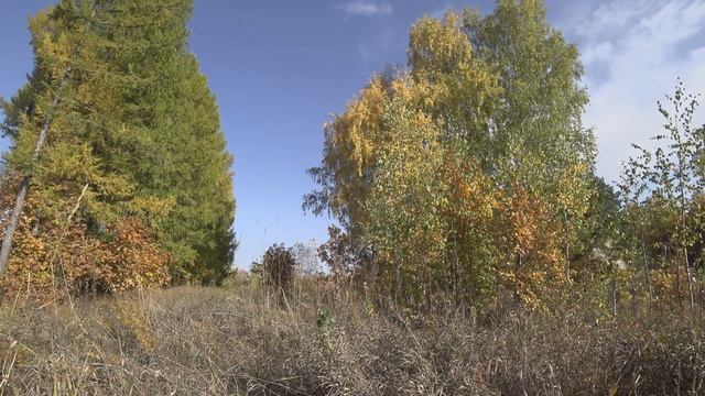 4к Релаксация. Изумительный ОСЕННИЙ пейзаж