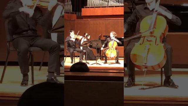 Mendelssohn Piano Trio No.2 In C Minor (1st Mvt)