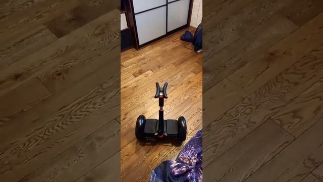 сегвей управляется с пульта