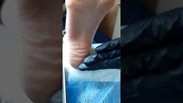 89cedc87f0a3868bccb7b5040141c3e6