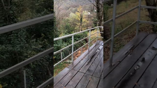 3a6d33b72794aefc49851a6660050723