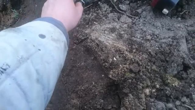 91403b88f9325083dd59cf021c203b45