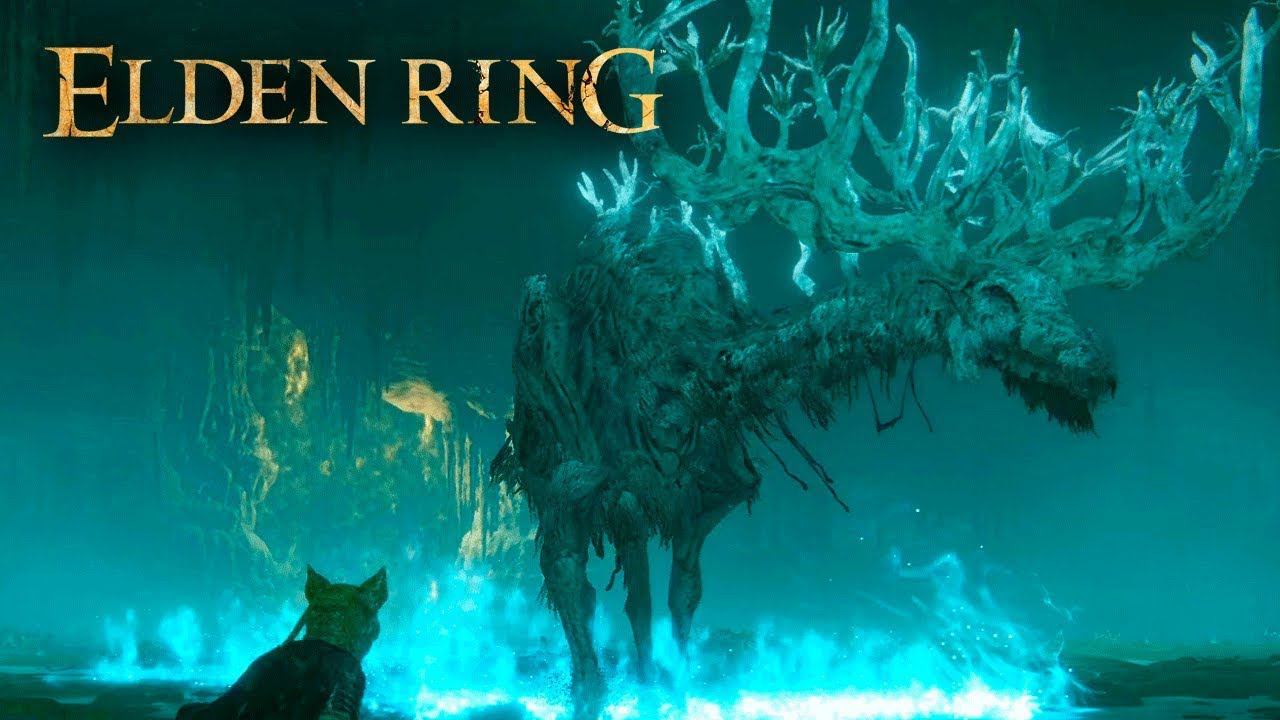 7659923655547f434197eeddcad4f9d7