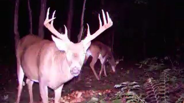 F534ba51888c1b37ee454f477724d648