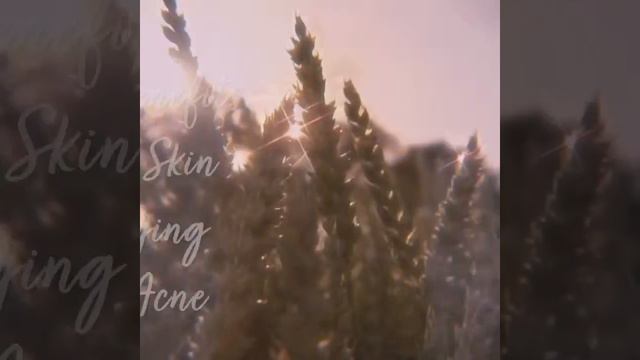 SKIN | Amazing! Turmeric & Ginger Face Mask Benefits By Queens Garden