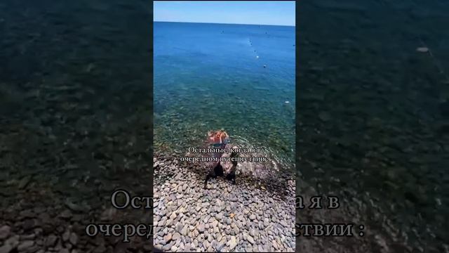 Мерсалова Кристина